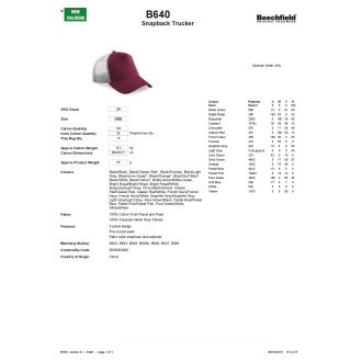 TTB640  Casquette américaine