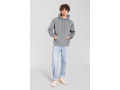 TTSC62294 - Sweat-shirt &agrave; capuche Iconic 250